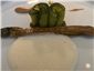 courgette dish
